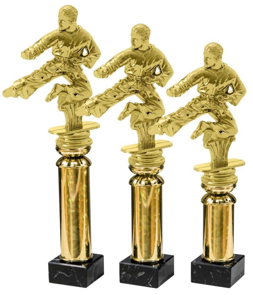 A59.38235 Karate Pokal | 3 Größen