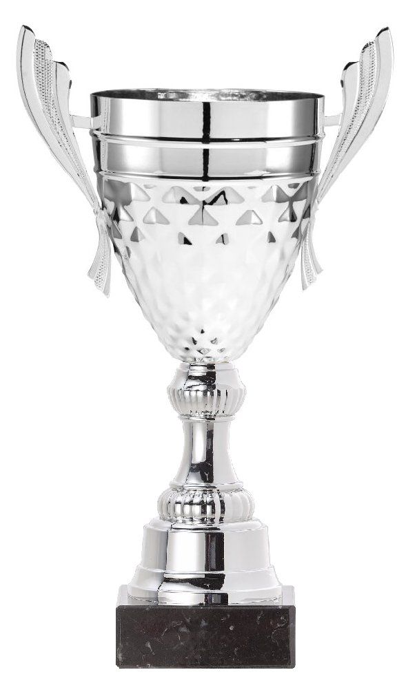 OUT621 Henkelpokal | 23,0 cm