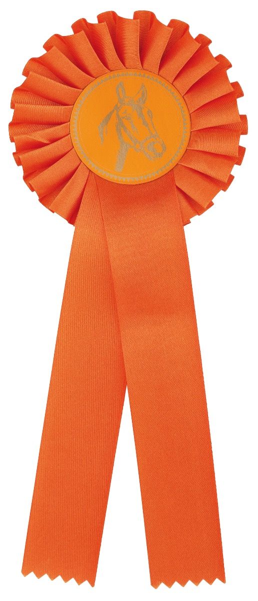 R100.OR Turnier-Schleifen | 115 x 310 mm