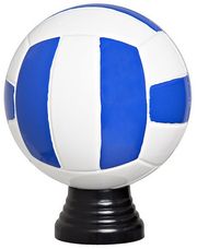 P506.M Volleyball