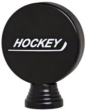 P508.M Eishockey