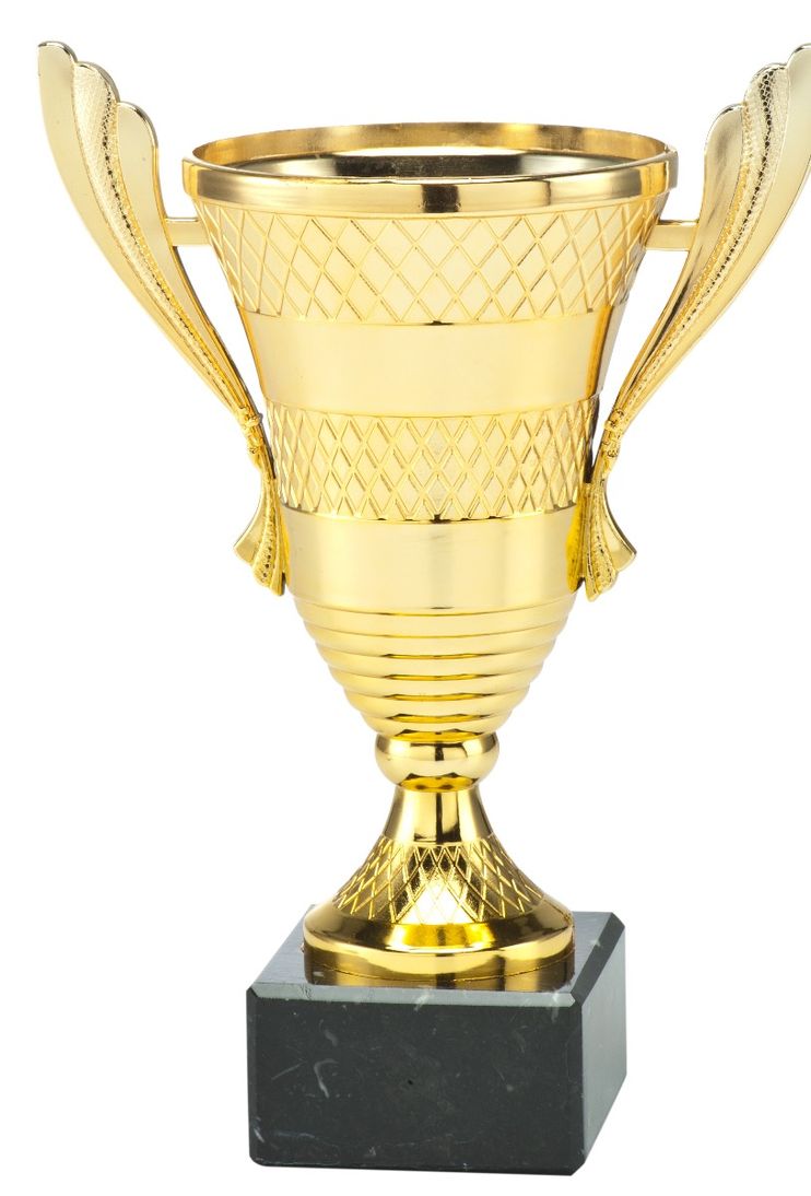 OUT337 Pokal Trophäe | 17,0 cm