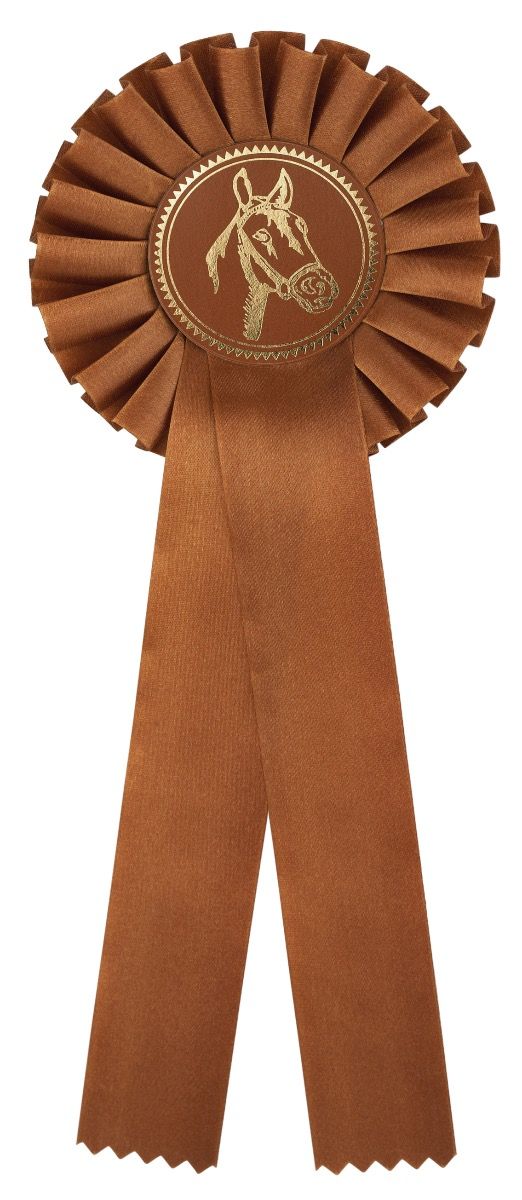 R100.BR Turnier-Schleifen | 115 x 310 mm