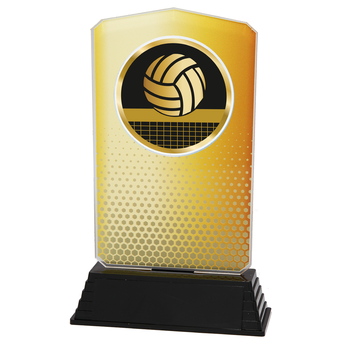 AC100.01.023 Volleyball Acrylglas | 18,5 cm