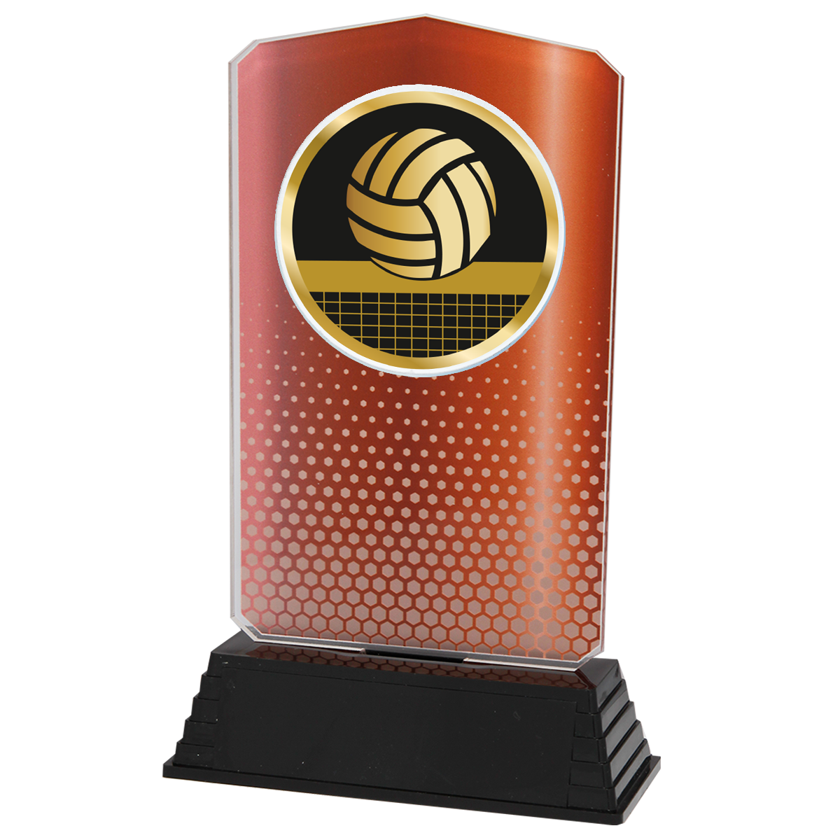 AC100.03.023 Volleyball Acrylglas | 18,5 cm