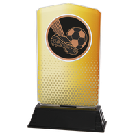 AC100.01.005 Fussball Acrylglas | 18,5 cm