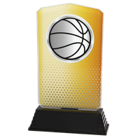 AC100.01.024 Basketball Acrylglas | 18,5 cm