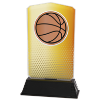 AC100.01.024 Basketball Acrylglas | 18,5 cm