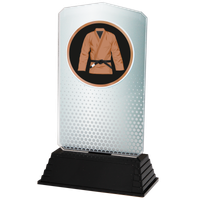 AC100.02.028 Judo Acrylglas | 18,5 cm