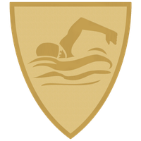 AFS Wappen-Emblem | 40x45 mm