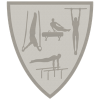 AFS Wappen-Emblem | 40x45 mm