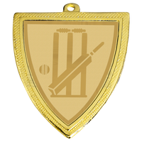D129.038 Cricket Medaille 50x55 mm