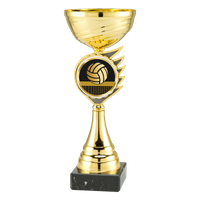 ET.407.AC023 Volleyballpokal | Serie 5 Stck.
