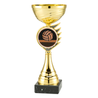 ET.407.AC023 Volleyballpokal | Serie 5 Stck.
