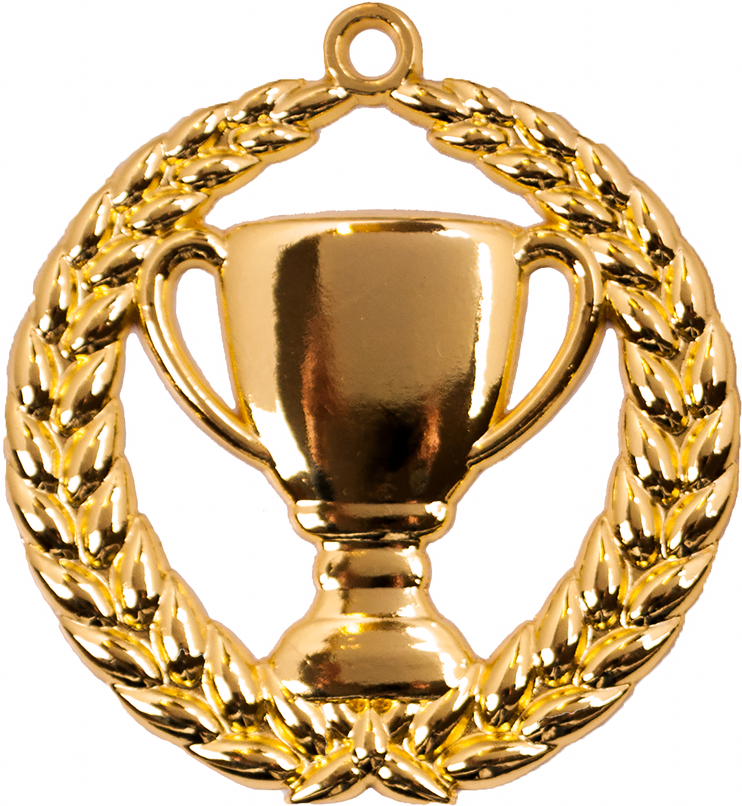 A9306 Pokal-Medaille Trier 70 mm Ø