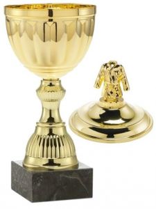 1021.009 Judo Pokale mit Deckelfigur inkl. Beschriftung | Serie 7 Stck.