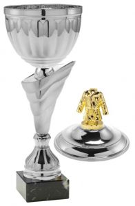1085.009 Judo Pokale mit Deckelfigur inkl. Beschriftung | Serie 8 Stck. 
