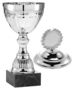 1087 Pokale mit Deckel inkl. Emblem u. Gravur | Serie 7 Stck.