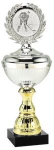 2025.313 Budgetpokal - Eishockey inkl. Beschriftung | 24,0 cm