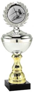 2025.530 Budgetpokal - Ski Alpin Slalom inkl. Beschriftung | 24,0 cm