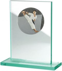 W511.004 Karate - Taekwondo Glastrophäe inkl. Beschriftung | 100x150 mm