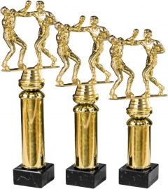 A59.34097 Boxer - Boxsport Pokal inkl. Beschriftung | 3 Größen