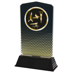 AC100.30 Acryltrophäe mit Motiv (nach Wahl) inkl. Beschriftung | 18,5 cm