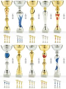 LOT2023-1 Pokale-Set (10 3er-Serien) inkl. Beschriftung | 30 Stück