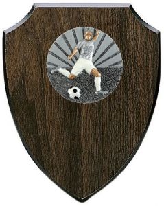 H71.029 Fussball Holzehrentafel inkl. Beschriftung | 3 Größen
