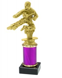 X9.154.38235 Karate Pokal Trophäe inkl. Gravur | 19,9 cm
