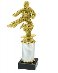 9.02.38235 Karate Pokal Trophäe inkl. Beschriftung | 19,9 cm