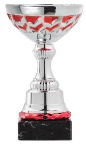 OUT1042.100 Pokal inkl. Beschriftung | 19,5 cm