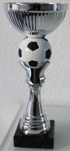OUT123 Fussball Pokalset/paket (13 Stck.) inkl. Gravur | Cup 10,0 cm Ø - 23,0 cm h