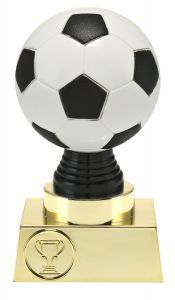 N30.01.500M Fussball Pokale inkl. Beschriftung | 3 Größen